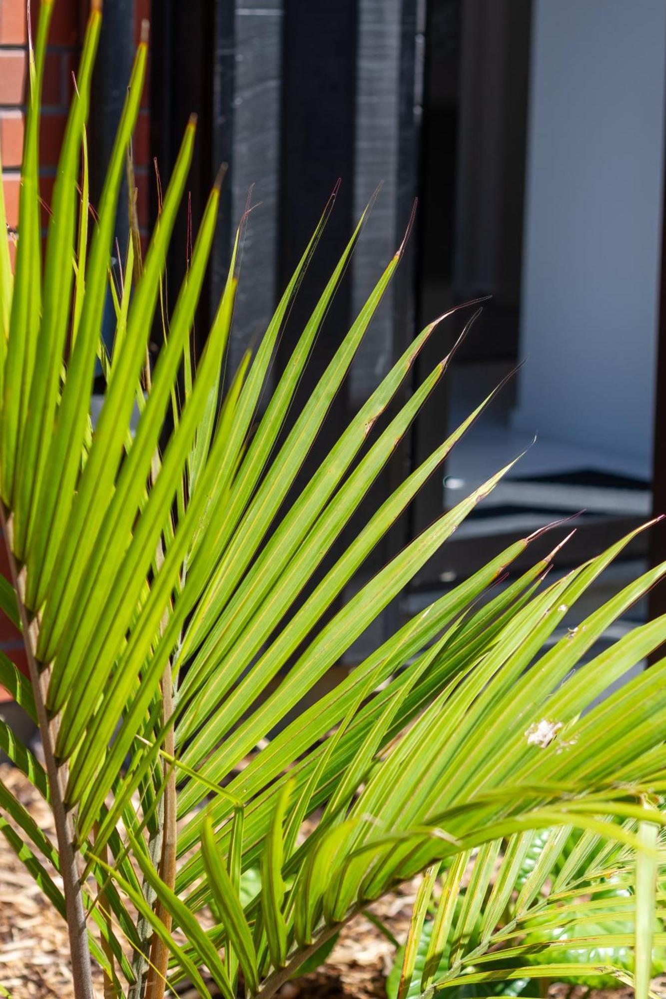 Chic 2-Bed Gem: Trust Arena Proximity - West Akl Apartman Auckland Kültér fotó